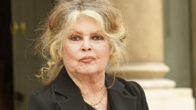 Μπριζίτ Μπαρντό: Ποιος κληρονομεί το μεγαλύτερο μέρος της περιουσίας της – Όχι ο μοναχογιός της
