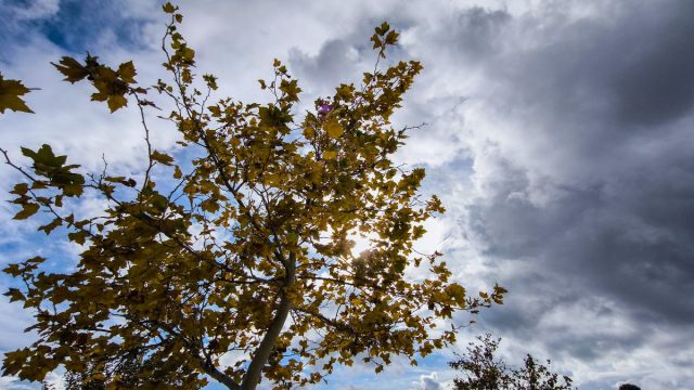 Καιρός σήμερα 02/12: Ήλιος πριν τη νέα κακοκαιρία – Πότε αλλάζει το σκηνικό σύμφωνα με Τσατραφύλλια και Αρναούτογλου