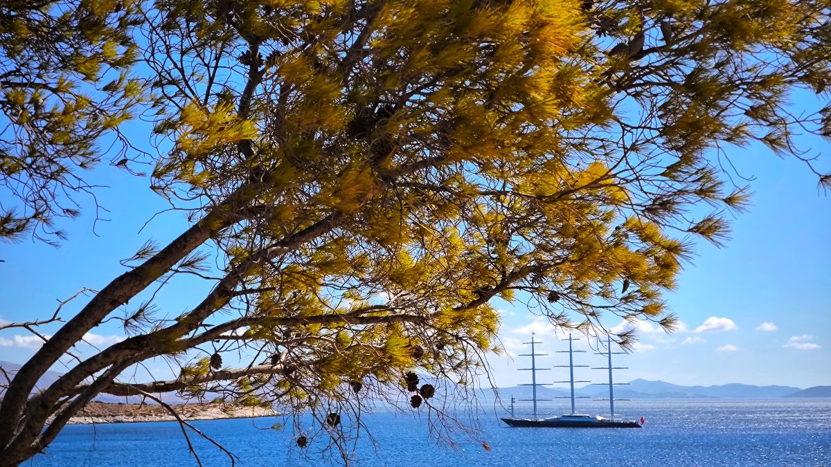 Καιρός 12/12: Καθυστερεί ο χειμώνας – «Διαταραχή» από τα μέσα Δεκεμβρίου – Η πρόγνωση Κολυδά και Αρναούτογλου