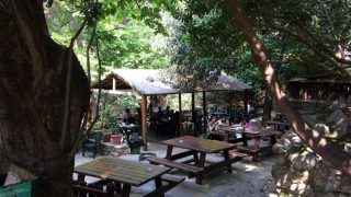 Αναψυκτήριο Καλοπούλα και δάσος Καισαριανής: Η πράσινη όαση της Αθήνας