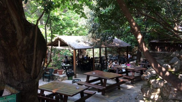 Αναψυκτήριο Καλοπούλα και δάσος Καισαριανής: Η πράσινη όαση της Αθήνας
