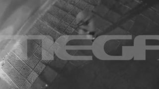 Καταγγελία μητέρας ανήλικου που ήταν με τον γιο του Κατρίνη: «Τα παιδιά τα χτύπησαν, η χυδαιότητα δεν είχε προηγούμενο»
