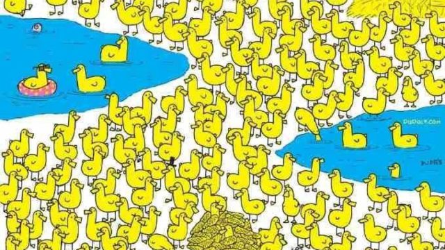 Οπτική ψευδαίσθηση: Μόνο το 5% των ανθρώπων θα βρουν το κοτόπουλο ανάμεσα στα παπάκια