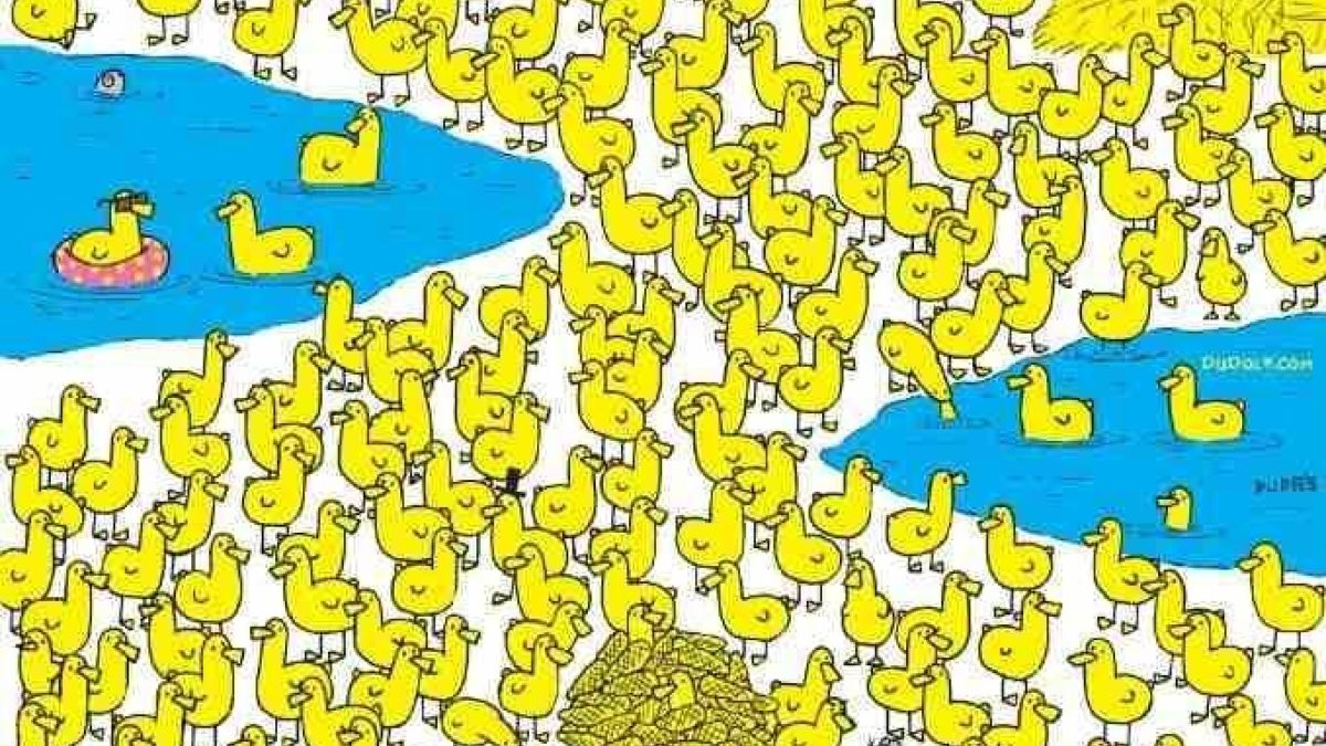 Οπτική ψευδαίσθηση: Μόνο το 5% των ανθρώπων θα βρουν το κοτόπουλο ανάμεσα στα παπάκια
