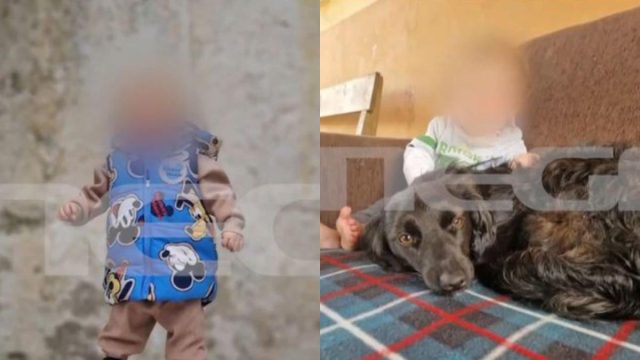 «Το παιδί μου με είδε, μου χαμογέλασε και πέθανε»: Συγκινεί ο πατέρας μετά την επίθεση του σκύλου στον 2χρονο στη Ζάκυνθο