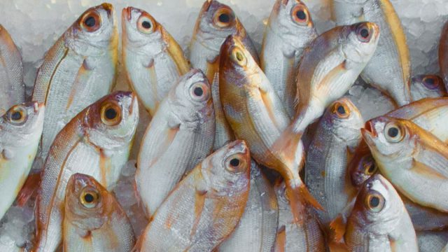 Πώς βγήκε η φράση «Φάτε μάτια ψάρια και κοιλιά περίδρομο»