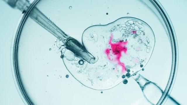 Θρίλερ για τρίτεκνη οικογένεια που έκανε παιδιά με το σπέρμα του «Δότη 7069» – Πέθανε ένα από καρκίνο, νόσησε και το αδελφάκι του