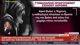 «Πέταξε έναν κάδο σε μία καθηγήτρια και την απείλησε»: Τι αποκάλυψε η μητέρα της 16χρονης που μαχαίρωσε 14χρονη στην Κυψέλη