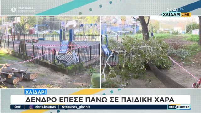 Συναγερμός στο Χαϊδάρι: Δέντρο έπεσε σε παιδική χαρά