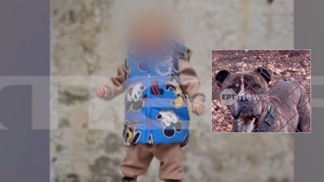 «Δεν μπορούσαν να το πάρουν από τα δόντια του πίτμπουλ»: Σκηνές αρχαίας τραγωδίας στο νοσοκομείο Ζακύνθου με την όψη του 2χρονου