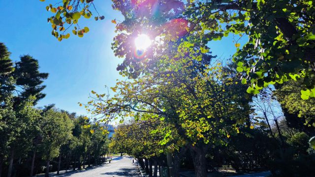 Καιρός σήμερα 14/1: Ηλιοφάνεια και άνοδος της θερμοκρασίας – Πότε θα επιστρέψουν τα χιόνια – Η πρόγνωση από Αρναούτογλου και Αρνιακό