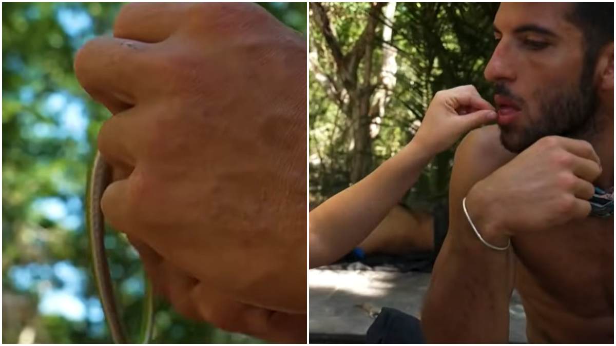 Αηδία στο ελληνικό Survivor: Παίκτες έπιασαν φίδι και το… έφαγαν!