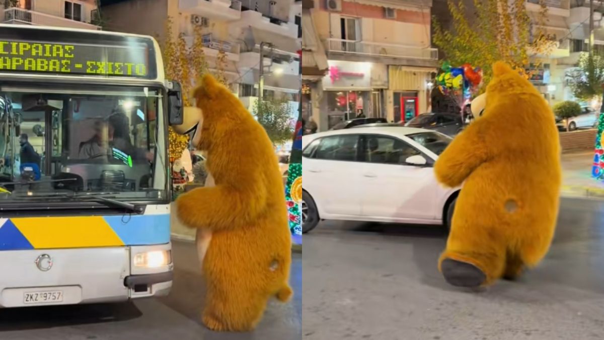 «Μια χαλαρή Τρίτη στη Νίκαια»: Η αρκούδα που έκλεψε την παράσταση στο κέντρο και έκανε το TikTok να παραμιλά