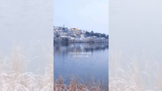 Καστοριά: Το viral βίντεο που μοιάζει με AI αλλά είναι πέρα για πέρα αληθινό – Η χιονισμένη «αρχόντισσα» από ψηλά