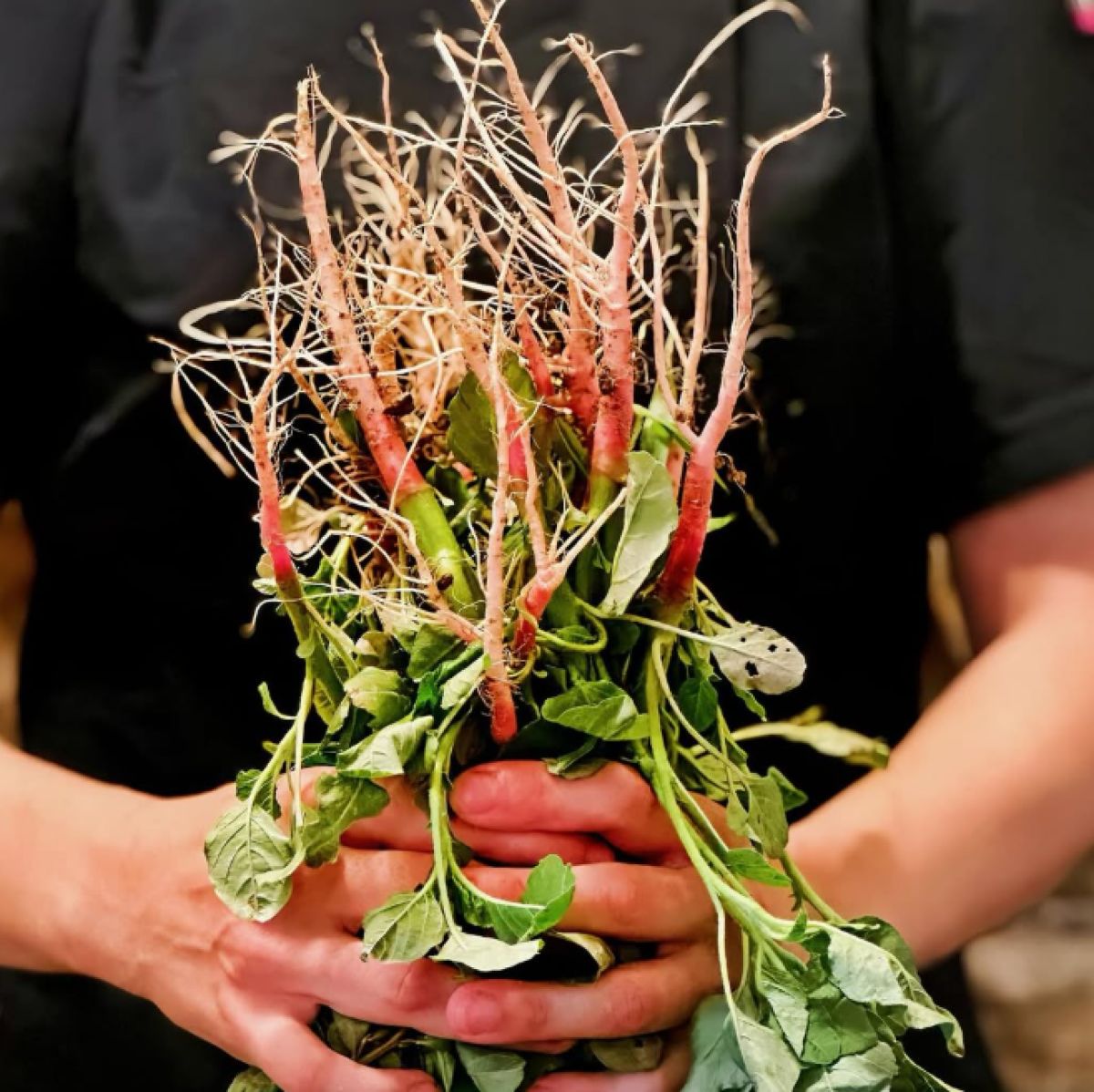 Kritsa Gastronomy Hotel