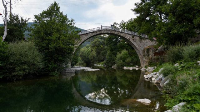 Βάλια Κάλντα: Οδοιπορικό στον «παράδεισο» της Πίνδου – Το μαγεμένο δάσος με τις αρκούδες και τα ρόμπολα