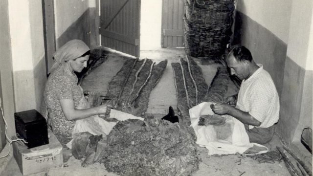 Σαν σήμερα, 25 Φεβρουαρίου 1965: Η «Μαύρη Πέμπτη» της Πεντάπολης: Όταν ο καπνός των Σερρών βάφτηκε με αίμα