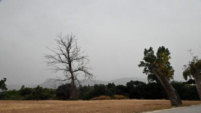 Καιρός σήμερα (6/2): Αφρικανική σκόνη και τοπικές καταιγίδες – Η πρόγνωση από Αρνιακό και Τσατραφύλλια