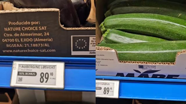 Απελπισμένη Ελληνίδα σε σούπερ μάρκετ στην Νορβηγία