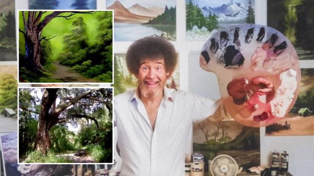 Bob Ross: Η σκοτεινή ιστορία πίσω από τον πίνακα «ευτυχισμένα μικρά ατυχήματα» – Ζωγράφισε δέντρο όπου βρέθηκαν πέντε πτώματα