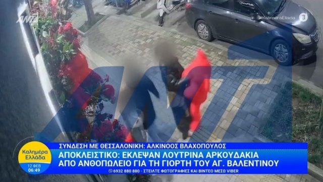 Έκλεψαν λούτρινα αρκουδάκια από ανθοπωλείο για τη γιορτή του Αγίου Βαλεντίνου (video)