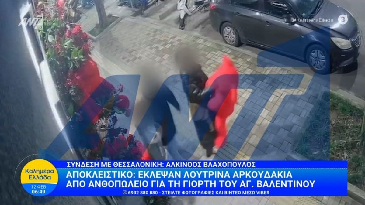 Έκλεψαν λούτρινα αρκουδάκια από ανθοπωλείο για τη γιορτή του Αγίου Βαλεντίνου (video)