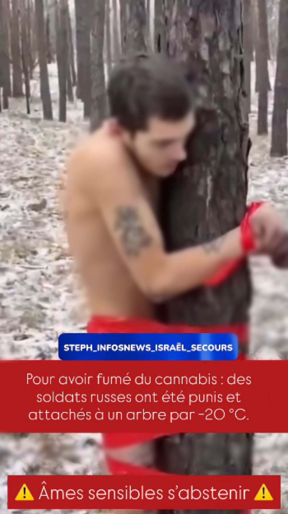 Δεσμά σε δέντρο