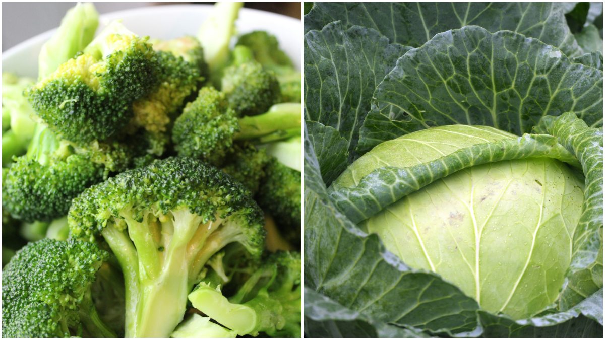 Μπρόκολο ή λάχανο – Η διατροφική «μάχη» των σταυρανθών και ο ρόλος της πρωτεΐνης