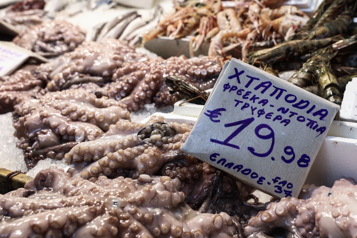 Σούπερ μάρκετ και ιχθυαγορές