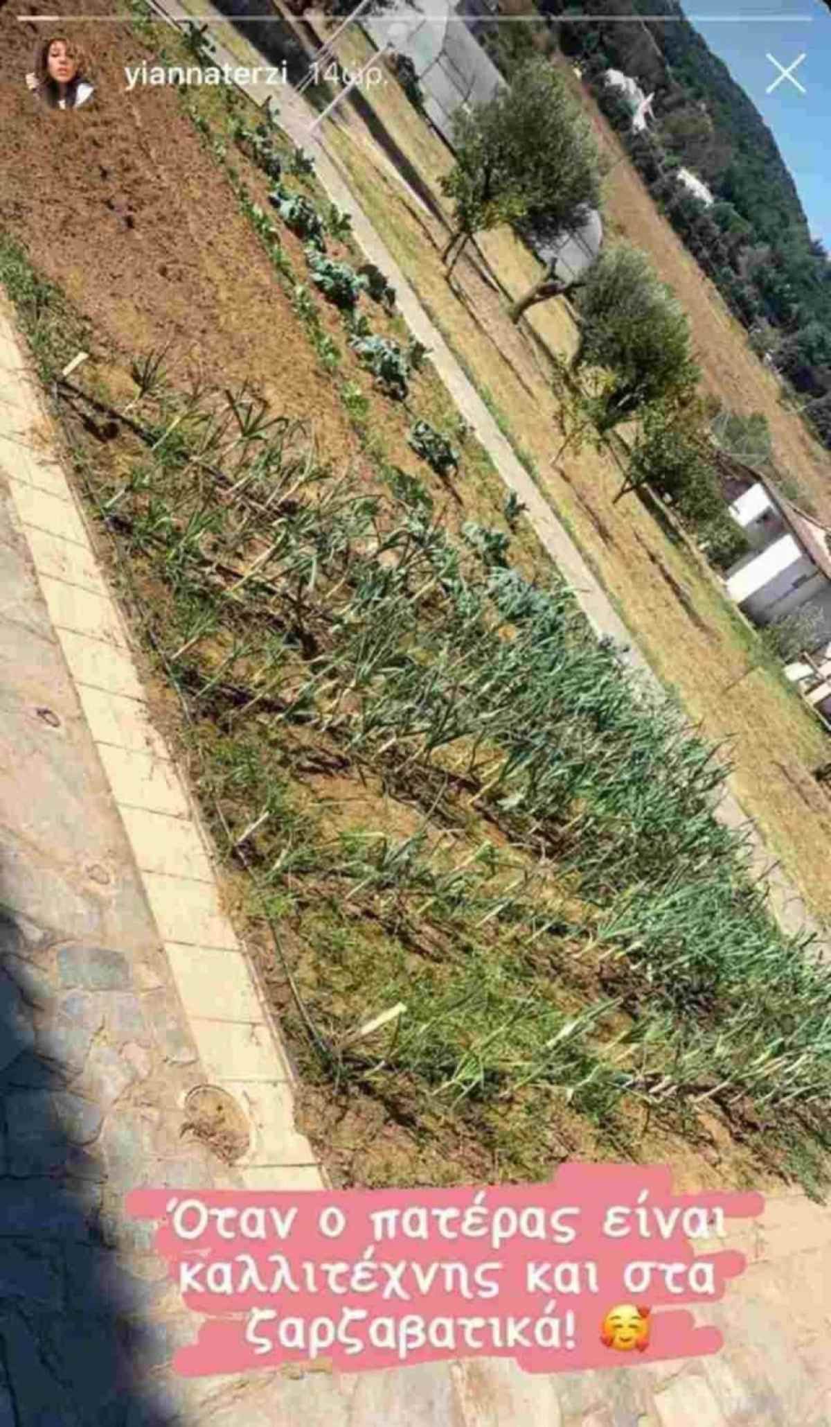 Στον κήπο αφιερώνει τις ώρες του ο Πασχάλης Τερζής