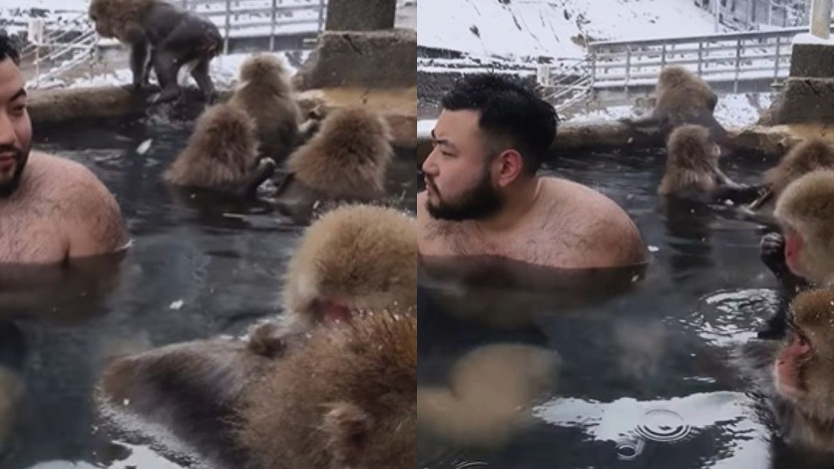 Στην Ιαπωνία κάνουν μπάνιο σε σπα μαζί με μαϊμούδες