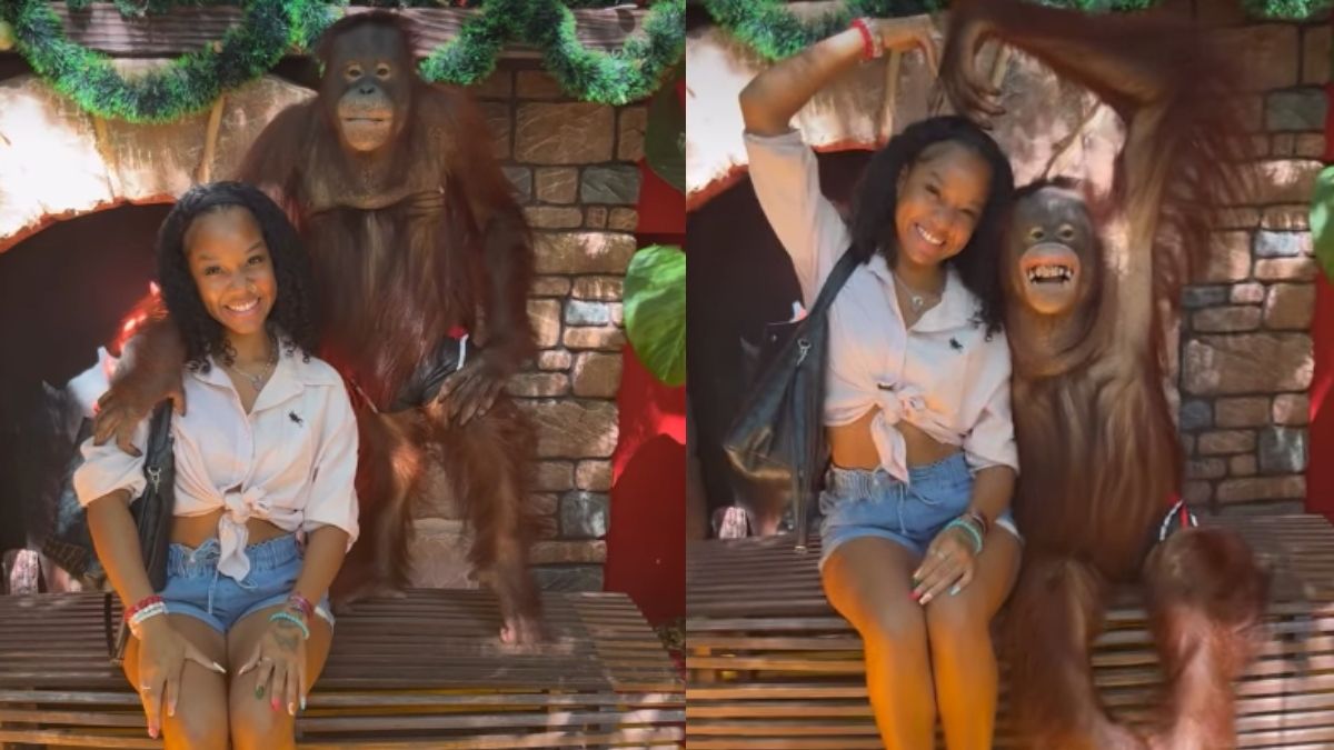 Safari world: Στην Ταϊλάνδη οι τουρίστες φωτογραφίζονται με «εκπαιδευμένους» χιμπατζήδες σε απαγορευτικές στάσεις 