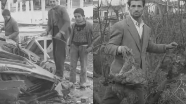 Σαν σήμερα, 7 Φεβρουαρίου 1963: Το «ξεχασμένο» τσουνάμι στο Αίγιο που μετέτρεψε τη στεριά σε θάλασσα