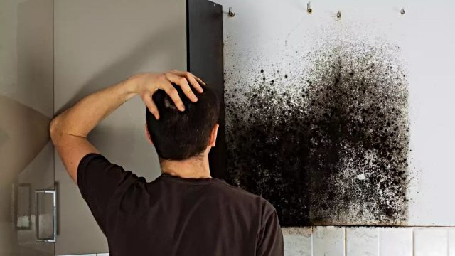 Το κόλπο του μάστορα: Οι 5 +1 συμβουλές για να βάλετε τέλος στην υγρασία στους τοίχους