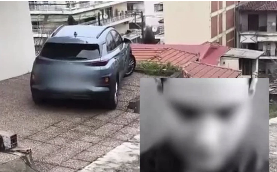 ο νεαρός δράστης ομολόγησε ότι ήταν εκείνος που ξυλοκόπησε άγρια την 24χρονη και στη συνέχεια την εγκατέλειψε στο σημείο. 
