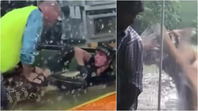Τα πιο σοκαριστικά ατυχήματα σε ζωολογικούς κήπους όλων των εποχών