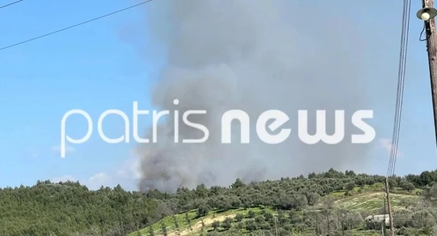 Σε εξέλιξη μεγάλη επιχείρηση της Πυροσβεστικής στην Ηλεία για την κατάσβεση πυρκαγιάς σε δασική έκταση στον Ελαιώνα Πύργου.