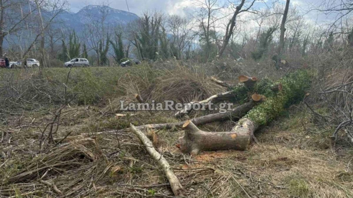 Τραγωδία στην Υπάτη: Δέντρο καταπλάκωσε 68χρονο μπροστά στη σύζυγό του