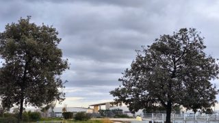 Καιρός 2/3: Συννεφιασμένη αλλά πιο ήπια η Δευτέρα – Η πρόγνωση Αρνιακού και Ζιακοπούλου