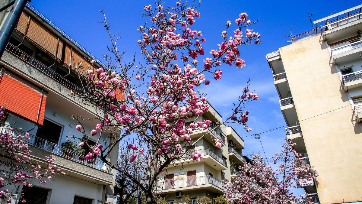 Καιρός σήμερα 11/3: Ηλιοφάνεια στις περισσότερες περιοχές – Πώς θα κυμανθεί η θερμοκρασία σύμφωνα με Αρναούτογλου και Αρνιακό
