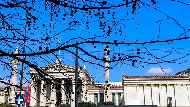 Καιρός σήμερα 12/3: Ήπιες θερμοκρασίες και σταδιακή αλλαγή του σκηνικού – Η πρόγνωση Σούζη και Τσατραφύλλια