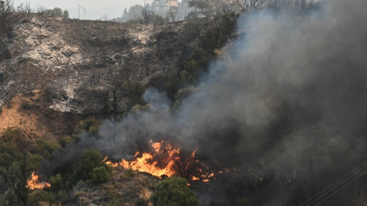 Φωτιά τώρα στην Κεφαλονιά: Επιχειρεί ένα αεροσκάφος και 24 πυροσβέστες – Μεγάλη πυρκαγιά