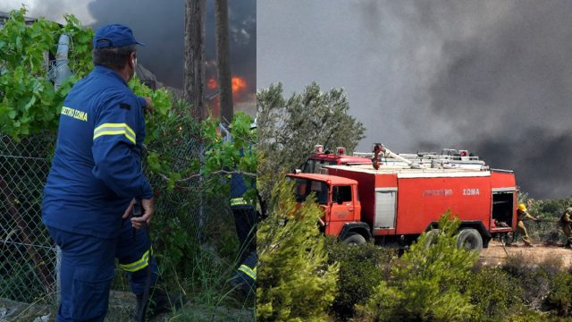 Κρήτη: Πυρκαγιά τώρα – 15 πυροσβέστες και 2 ομάδες δασοκομάντο στη μάχη με τις φλόγες