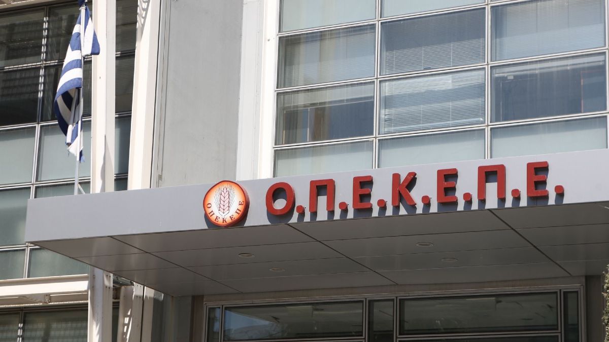 ΟΠΕΚΕΠΕ: Ραγδαίες εξελίξεις από την κορυφαία δικαστική δημοσιογράφο Ιωάννα Μάνδρου