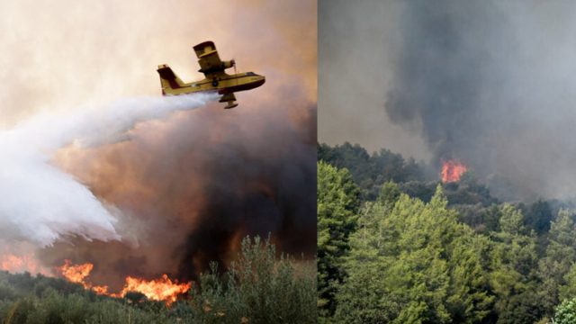 Φωτιά τώρα – Διπλό μέτωπο στην Ηλεία: Σηκώθηκαν εναέρια μέσα για την μεγάλη πυρκαγιά – Απειλούνται χωριά