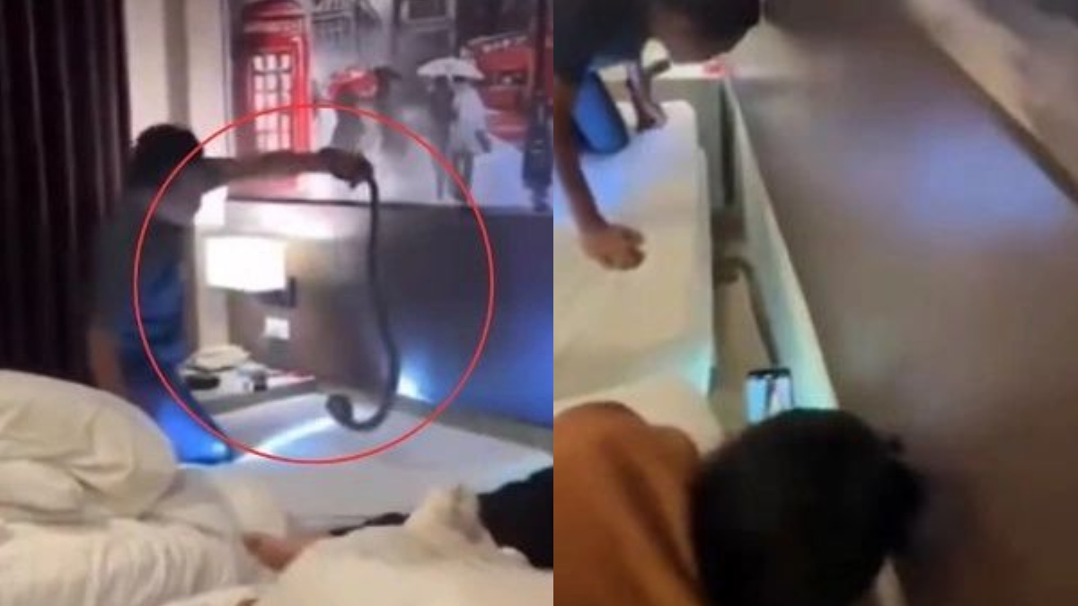 Ο χειρότερος εφιάλτης κάθε ταξιδιώτη στην Ταϊλάνδη: Τουρίστας ξύπνησε με μία… κόμπρα στον λαιμό του – Βίντεο