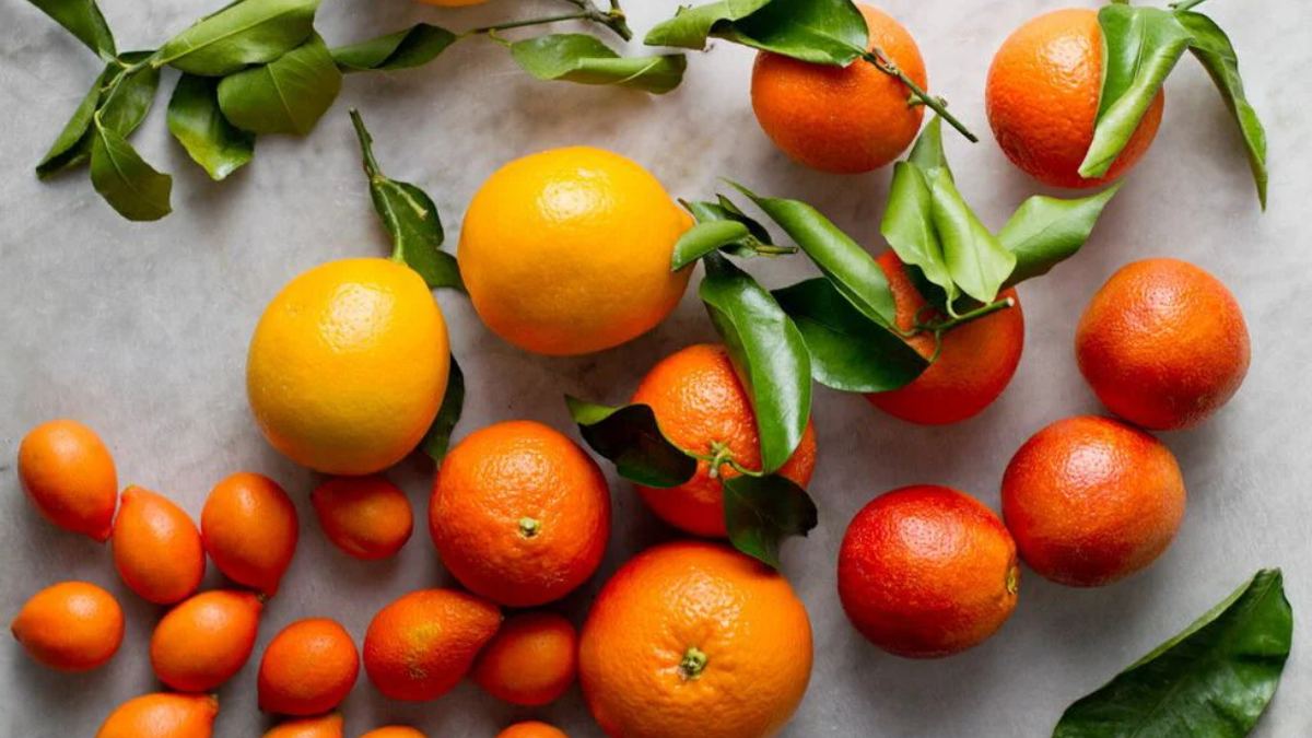 Πορτοκάλια