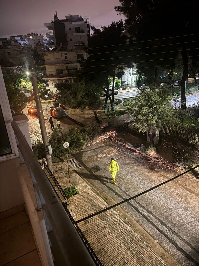 Πτώση δέντρων στον Άλιμο