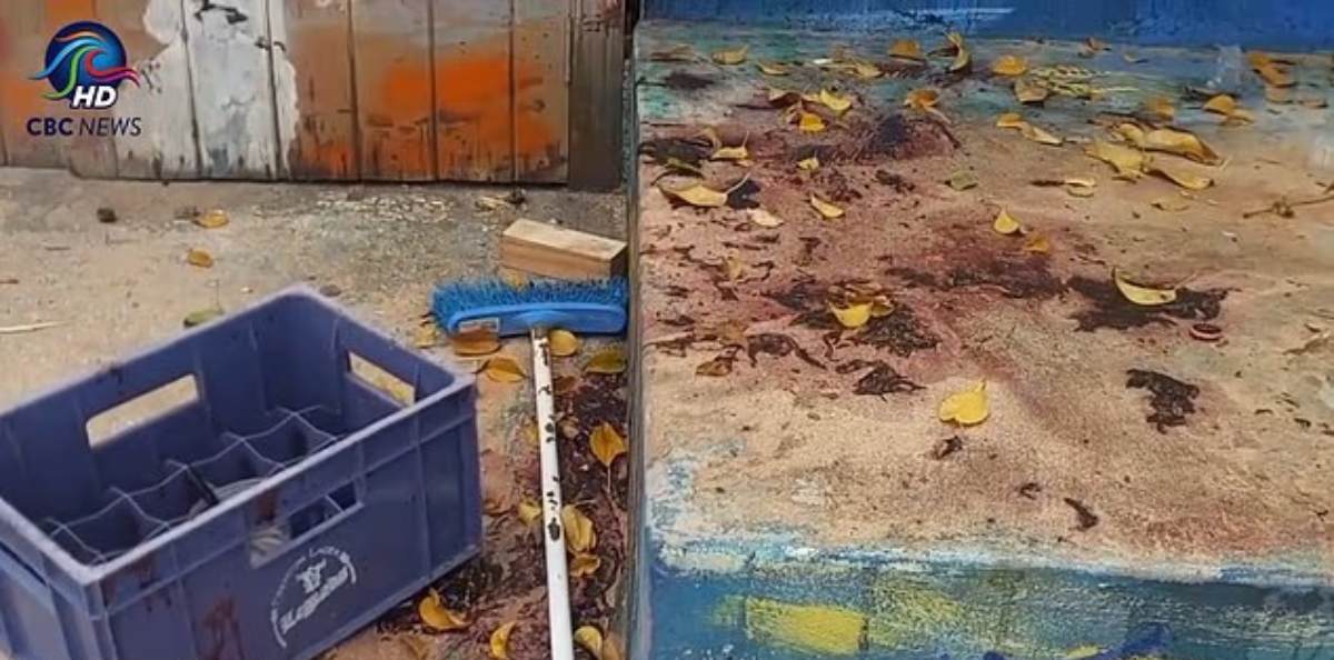 Η Barbados Police Service έχει ξεκινήσει εκτεταμένες έρευνες για το περιστατικό