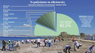 Σταματήστε να τα διώχνετε! Η σοκαριστική αλήθεια για τα φύκια που “σώζουν” τις διακοπές μας – Τι αποκαλύπτουν οι επιστήμονες